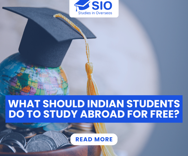 study abroad for free