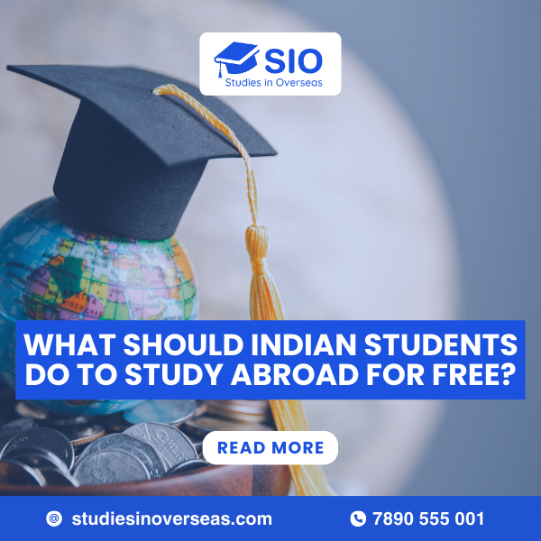 study abroad for free